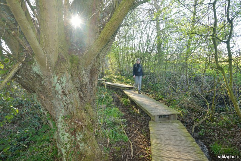 Natuurreservaat Broekelzen