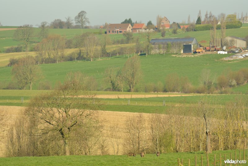 Heuvelland
