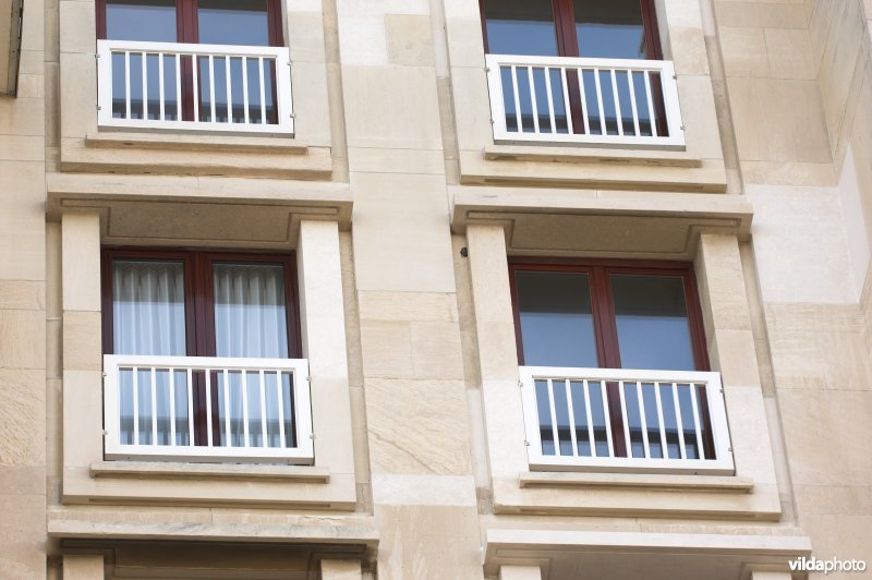 Tweekleurige vleermuis op appartement