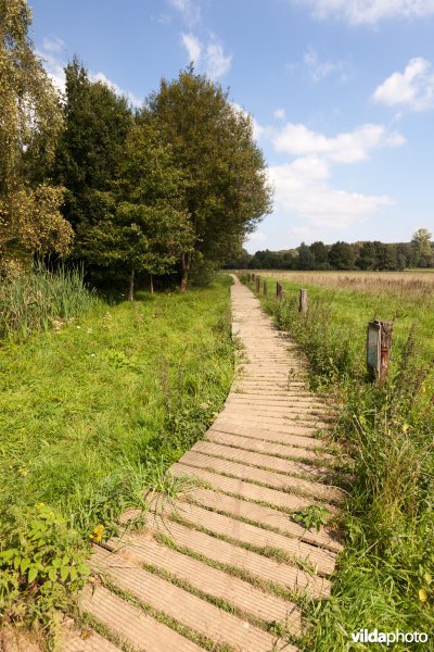 Plankenpad in de Doode Bemde