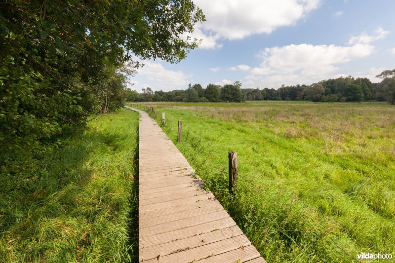 Plankenpad in de Doode Bemde