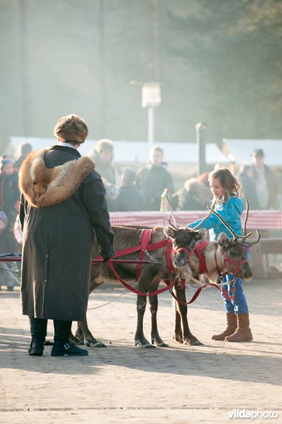 Vrouw in vossenbont met rendierslee