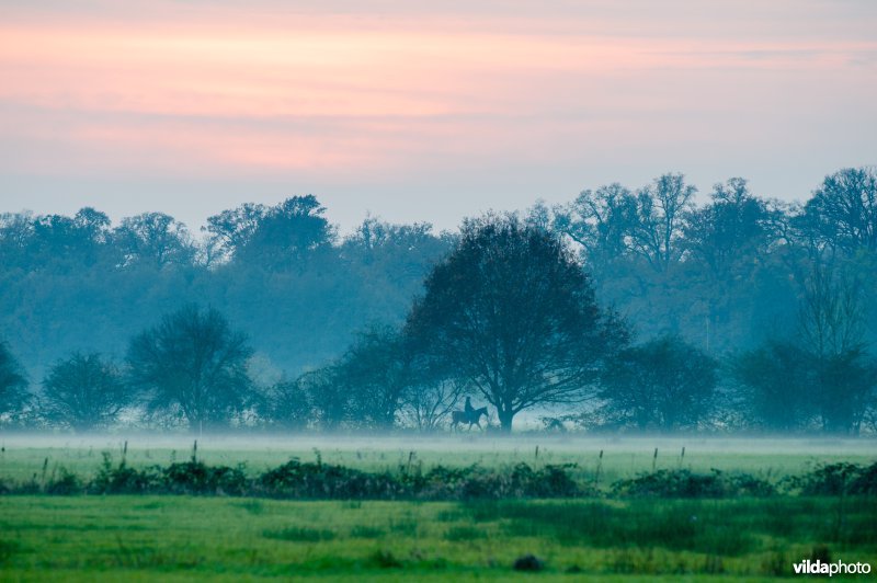 Ruiter op landgoed Middachten