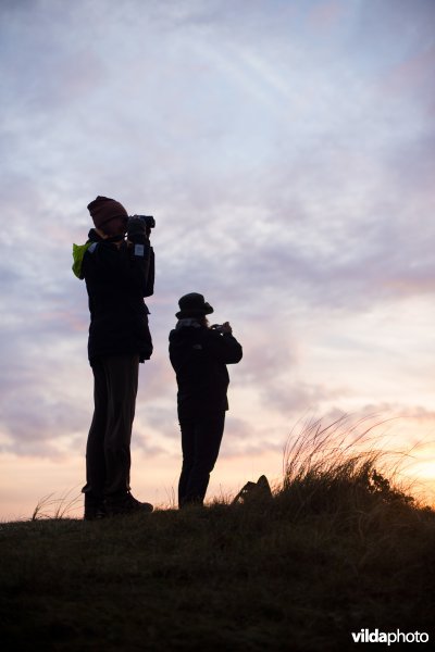 Vogels kijken op duintop