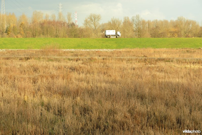 Grote Vijver (Noord Deel 1)