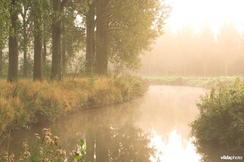 Zenne in de ochtendnevel