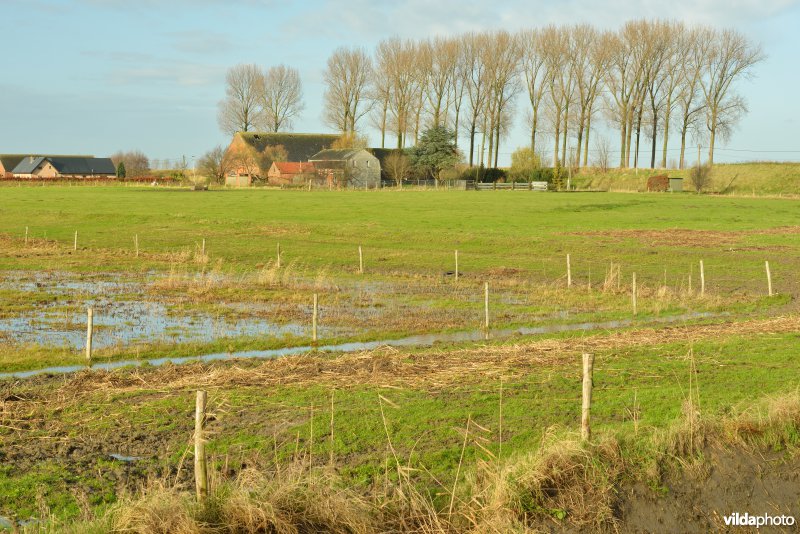 Nieuw-Arenberg