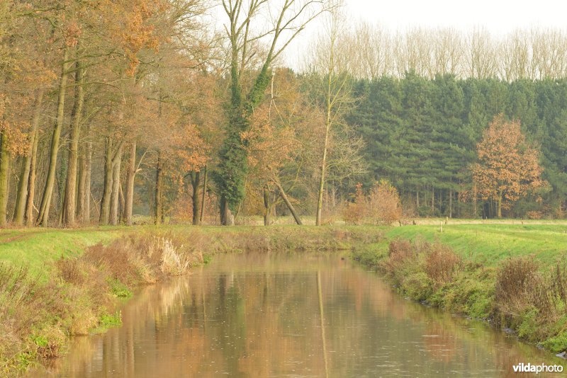 Vallei van de Grote Nete