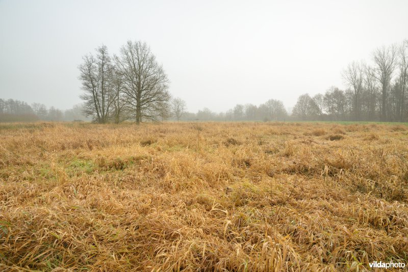 Vallei van de Grote Nete