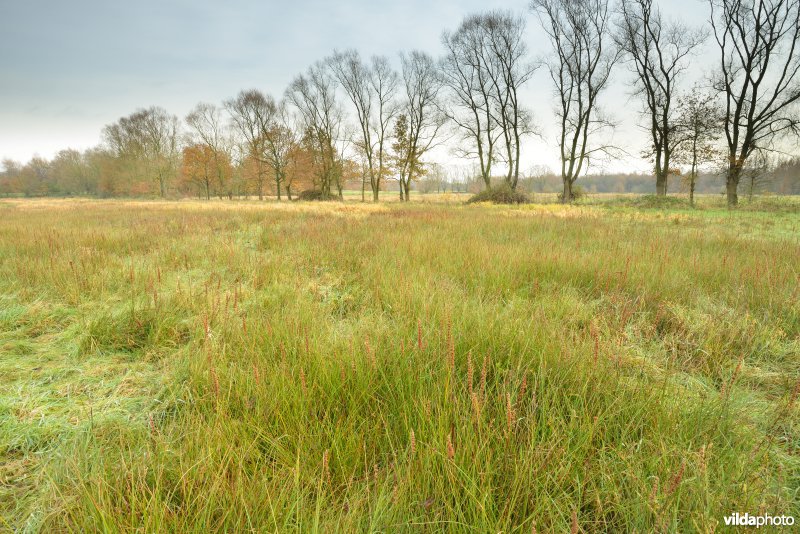 Vallei van de Grote Nete