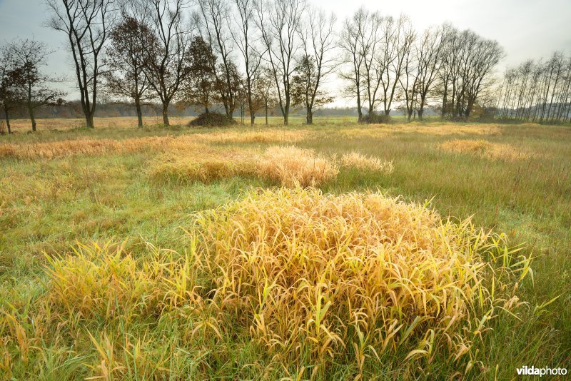 Vallei van de Grote Nete