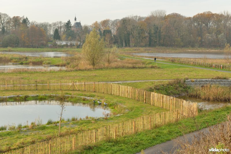 Schiphoekpolder