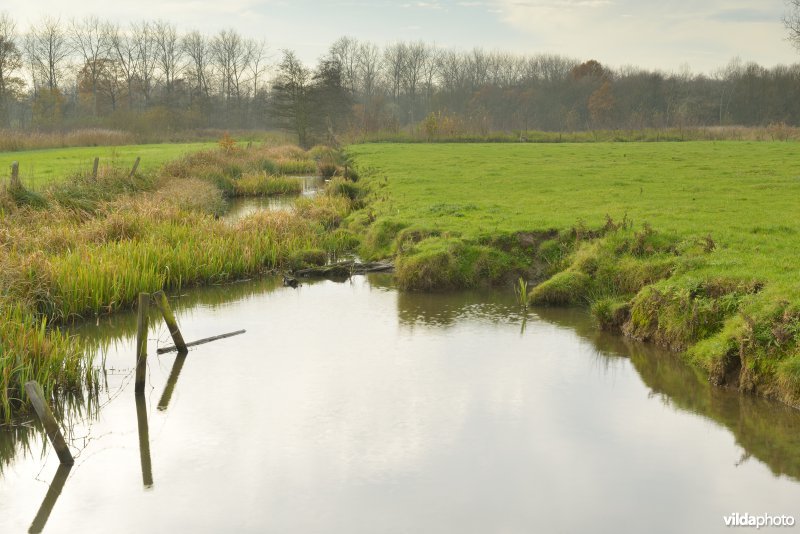 KBR polder