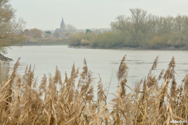 Vlassenbroekse polders: de Kramp