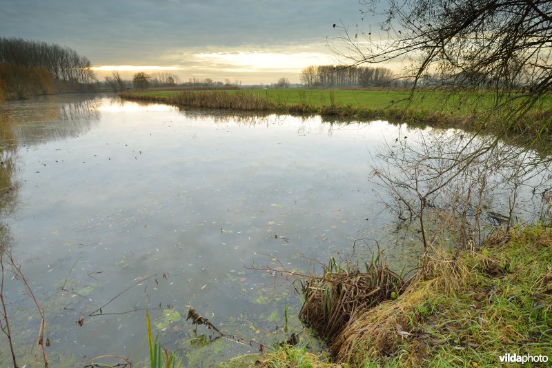 Kalkense meersen: Scherenmeersen