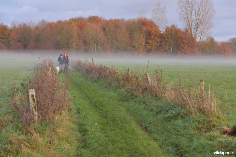 Wandelaars in de beemden van de Grote Netevallei