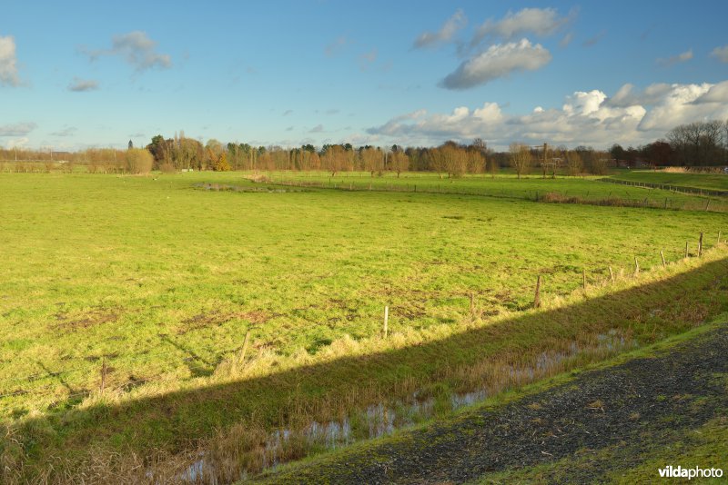 Polder van Lier