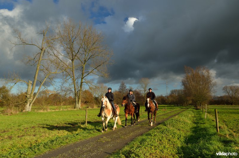 Ruiters in de Dorent