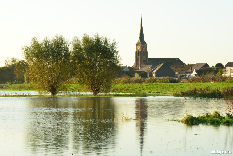 Overstroomde Paardeweide