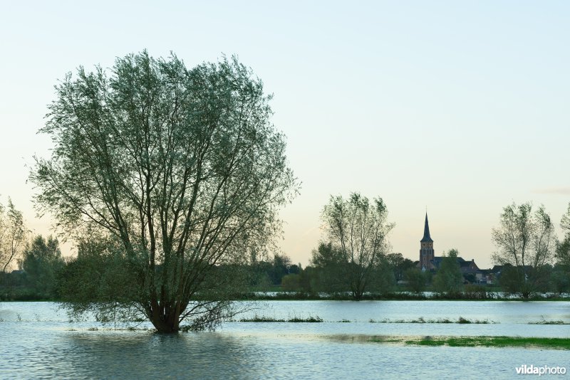 Overstroomde Paardeweide