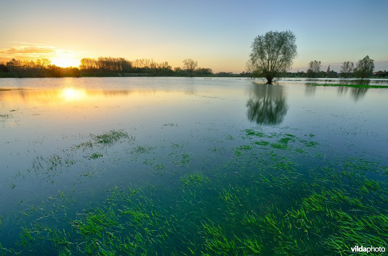 Overstroomde Paardeweide