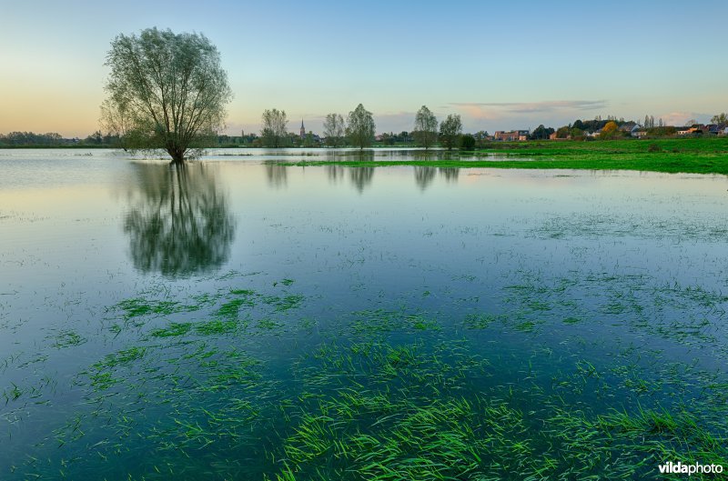 Overstroomde Paardeweide