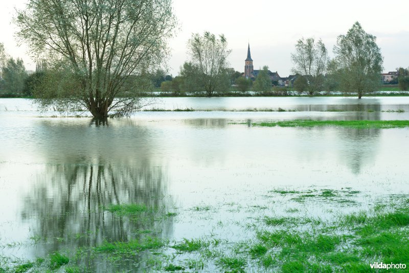 Overstroomde Paardeweide