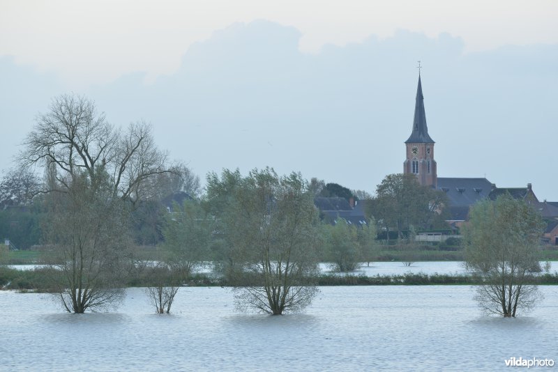 Overstroomde Paardeweide