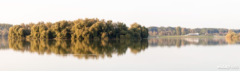 Het groot eiland