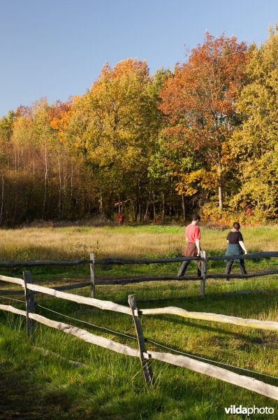 Wandelaars in de herfst