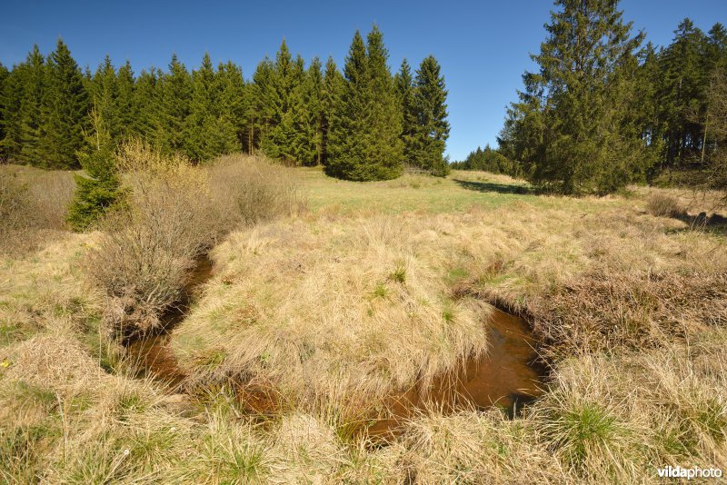 Vallei van de Holzwarche