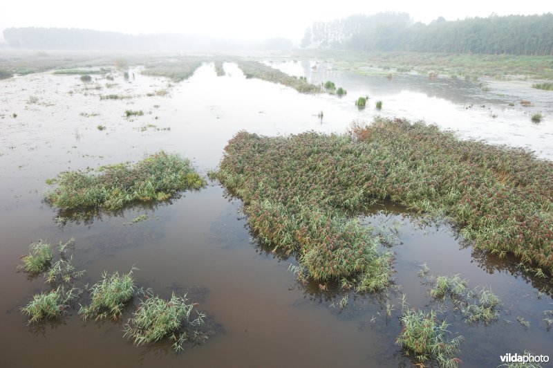 Het Vinne vanop de uitkijktoren