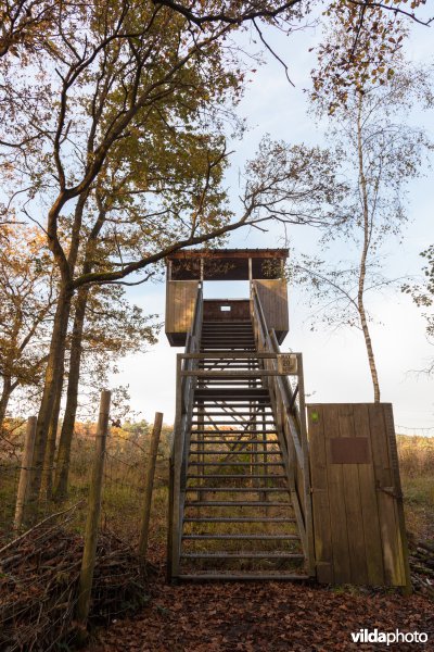 Vogelkijktoren
