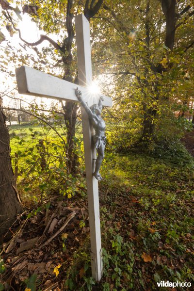 Kruisbeeld in het Munsterbos