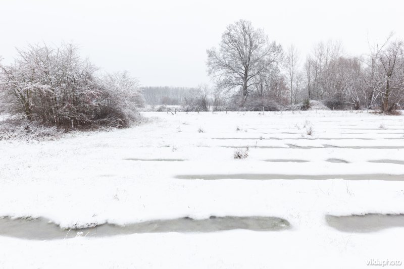 Ondergesneeuwd reliëfrijk grasland