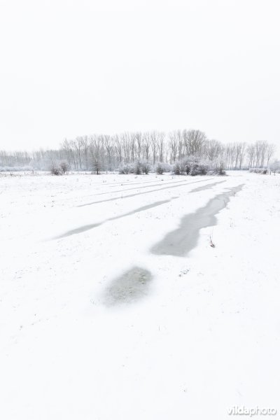 Ondergesneeuwd reliëfrijk grasland