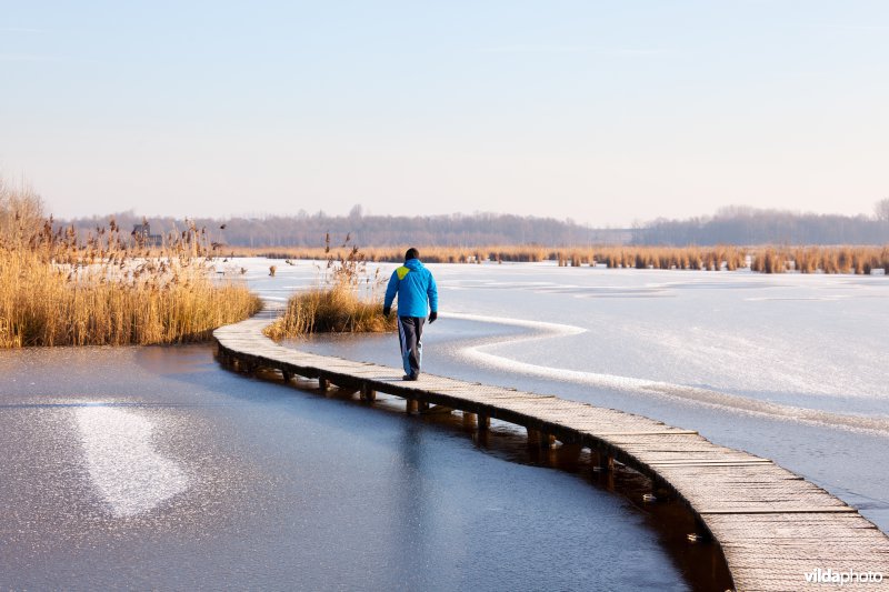 Wandelaar aan het Vinne