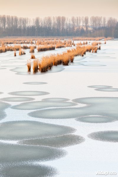 Bevroren meer
