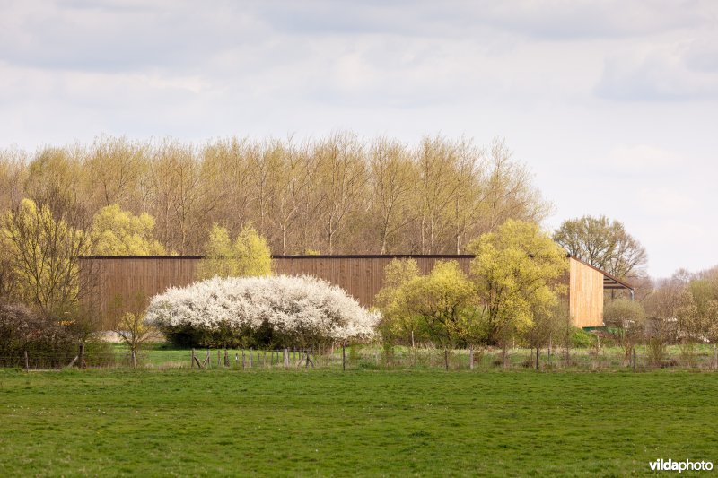 De nieuwe stal van Natuurpunt