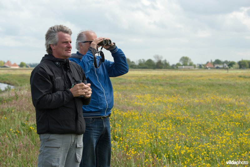 Vogels kijken 