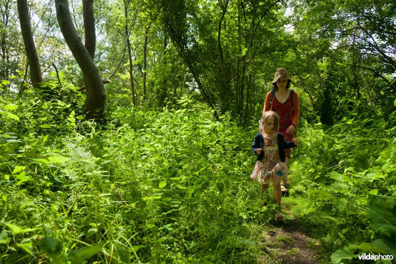 Wandelen in Broek De Naeyer