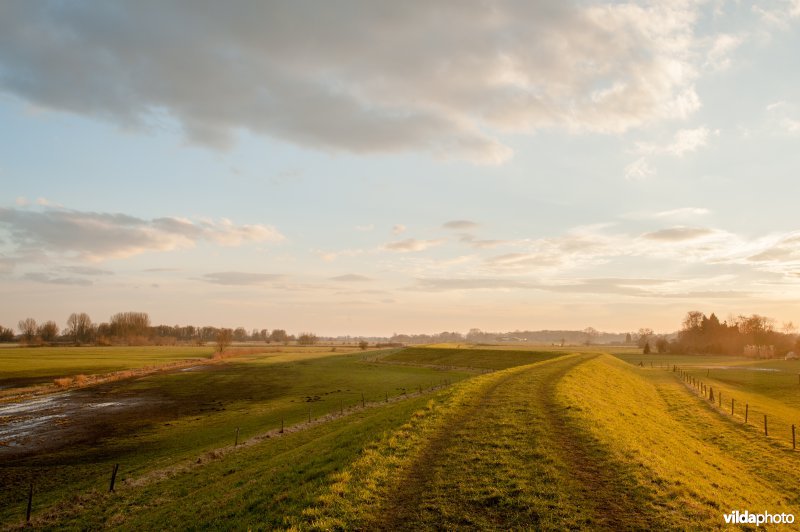 Uiterwaarden van de IJssel