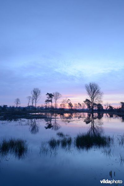 Empese en Tondense Heide
