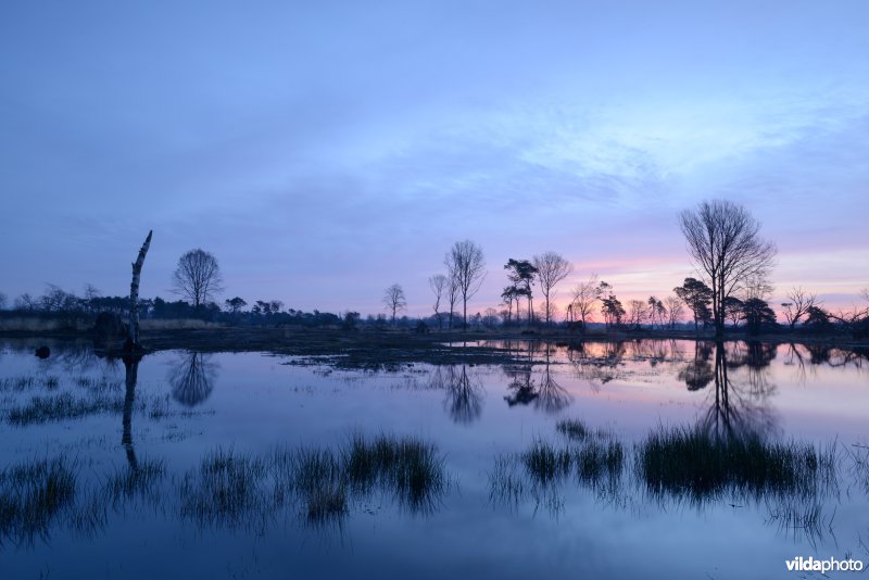 Empese en Tondense Heide