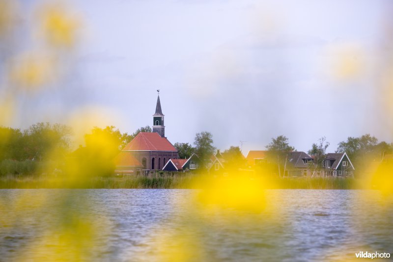 Kerk Driehuizen met boterbloemen
