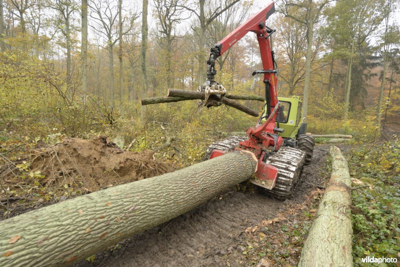 Bosexploitatie met een skidder