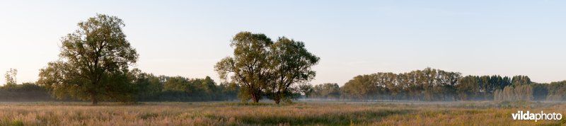 Barebeekvallei