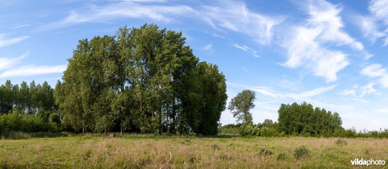 Kleinschalig landbouwlandschap