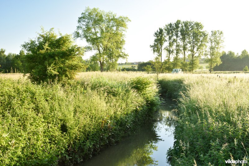 Natuurreservaat Jansveld langs de Zwalm