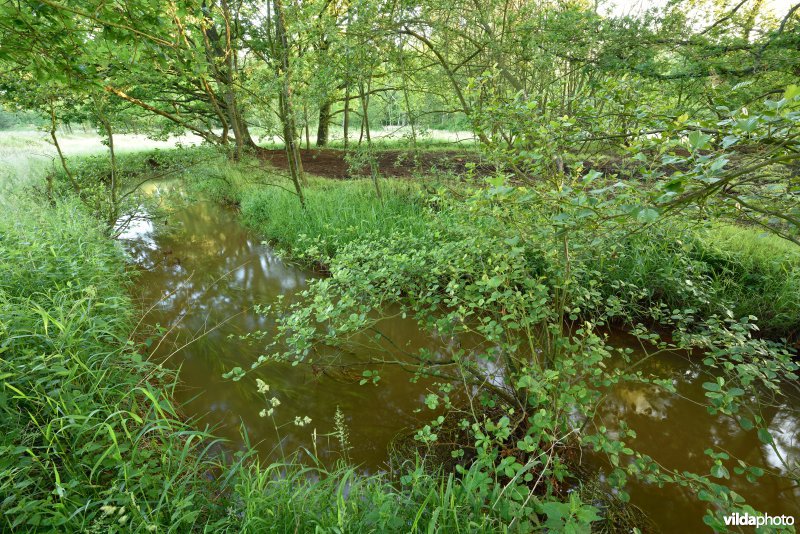 Natuurreservaat De Vennen